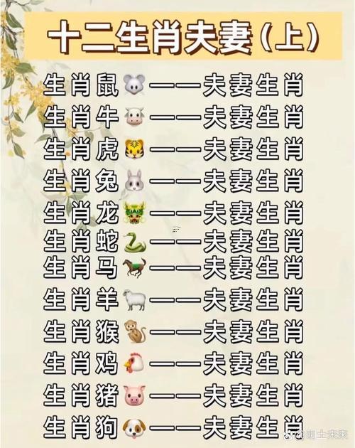屬龍的屬相婚配表