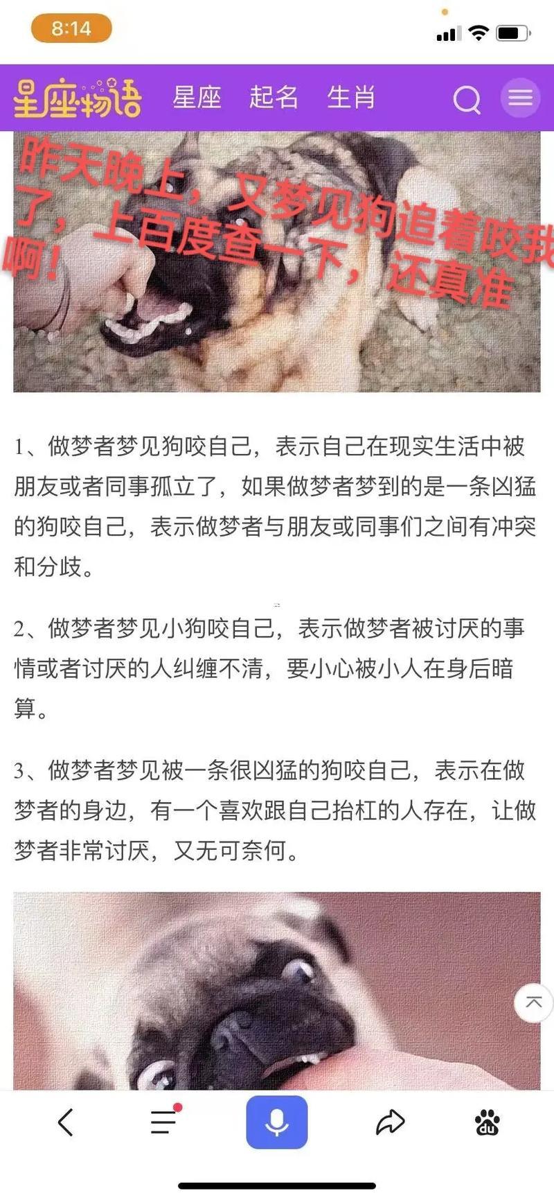 夢見狗咬狗