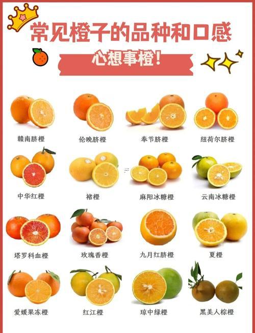 橙字取名寓意