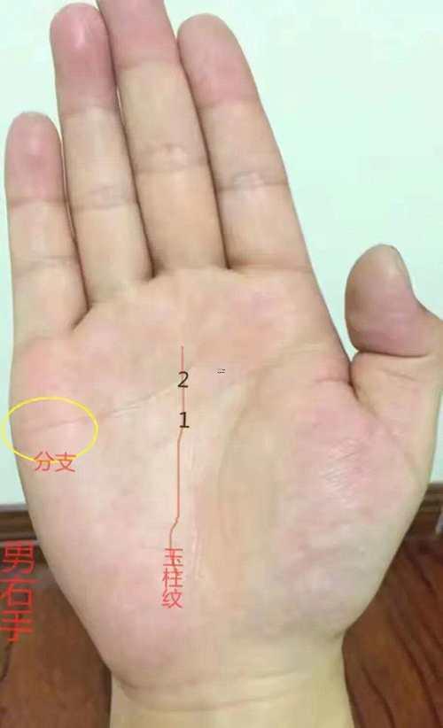 手相斷掌男