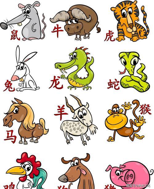12年屬什么生肖