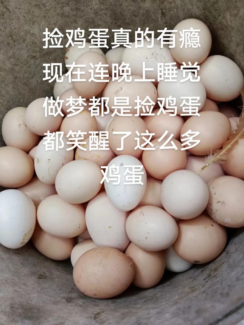 夢(mèng)見(jiàn)撿了好多雞蛋