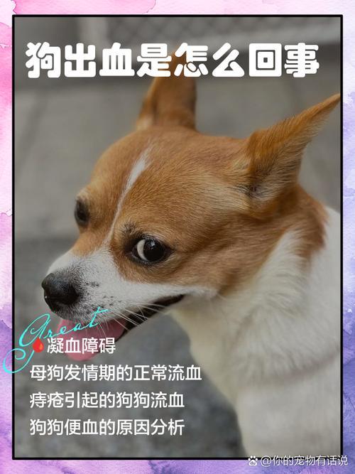 做夢(mèng)被狗咬出血