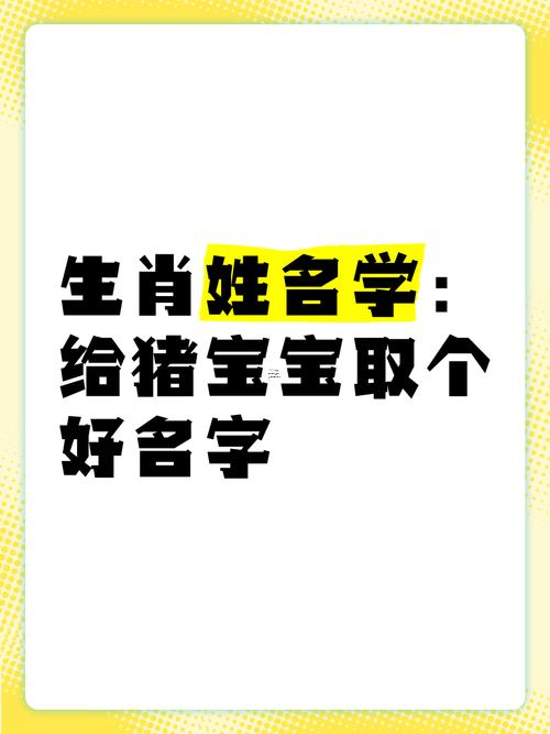 屬豬的男孩名字用什么字好