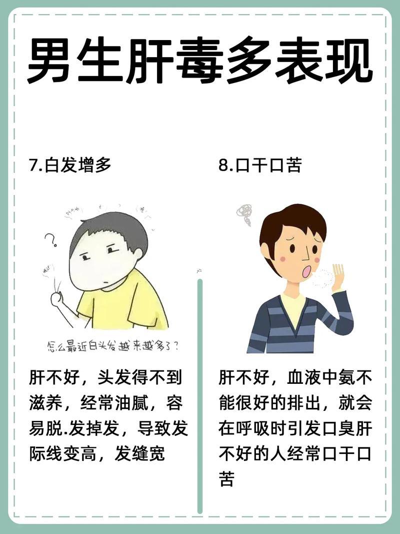 肝什么意思