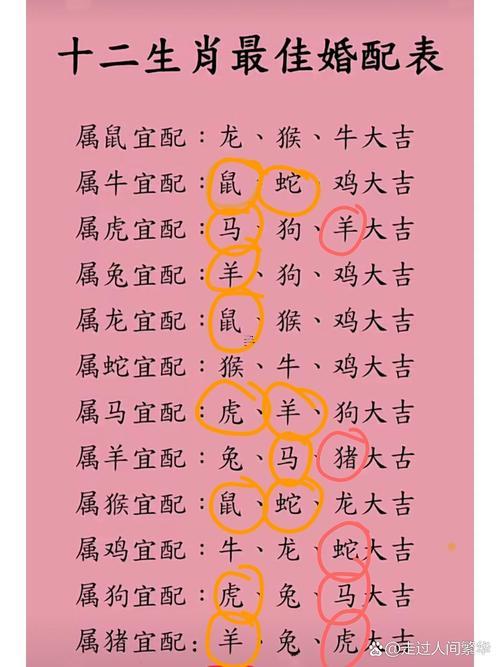 虎與鼠合不合
