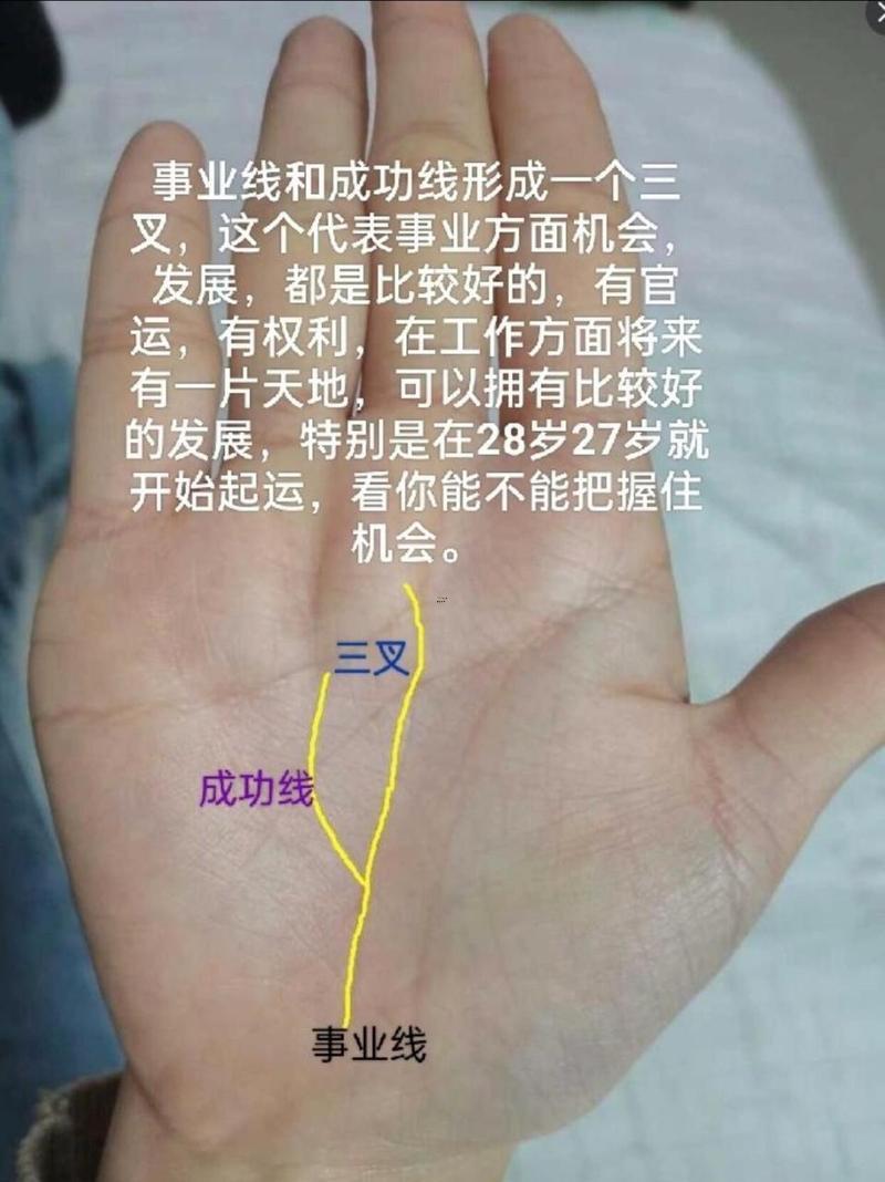 成功線圖解女