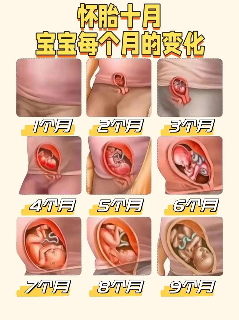 幾月生孩子好