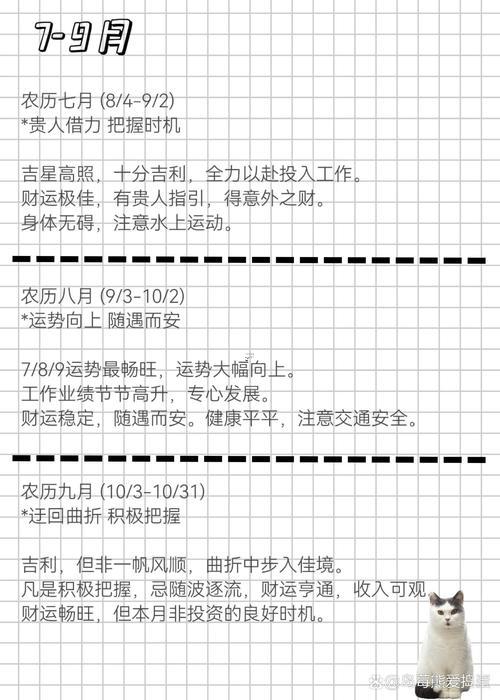 97年是啥命