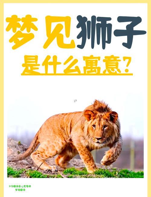 夢見獅子老虎