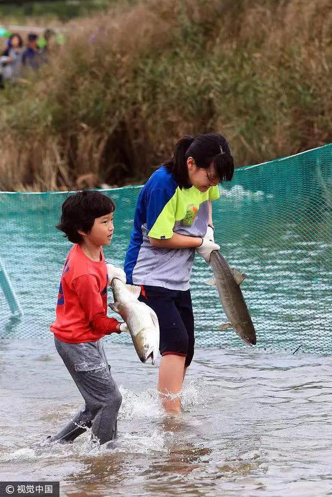 夢(mèng)見(jiàn)魚(yú)咬人