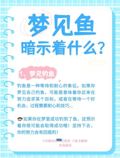 夢(mèng)見很大的魚