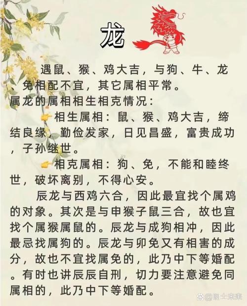 馬和龍屬相合不合