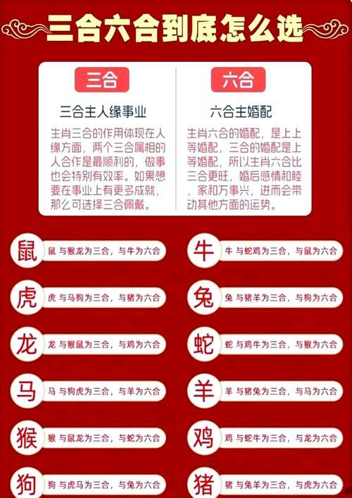 兔與什么生肖相沖
