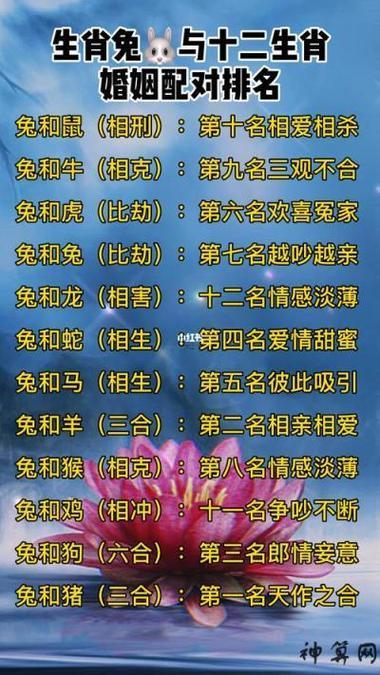 龍兔兩生肖相配嗎