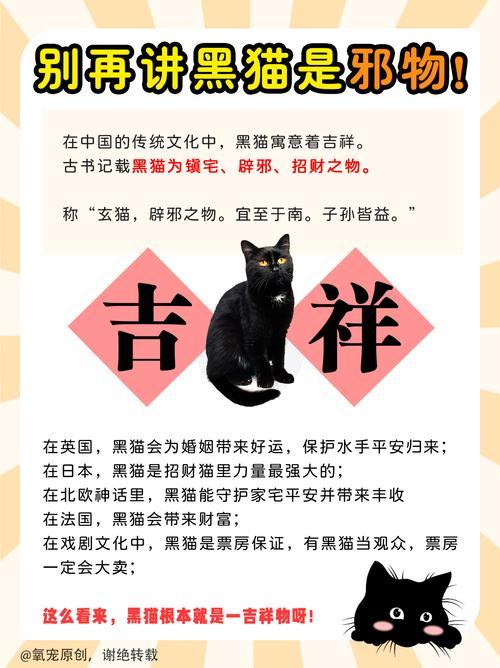 做夢夢到黑貓