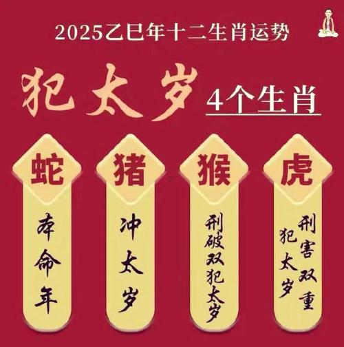 虎同馬屬相合不合