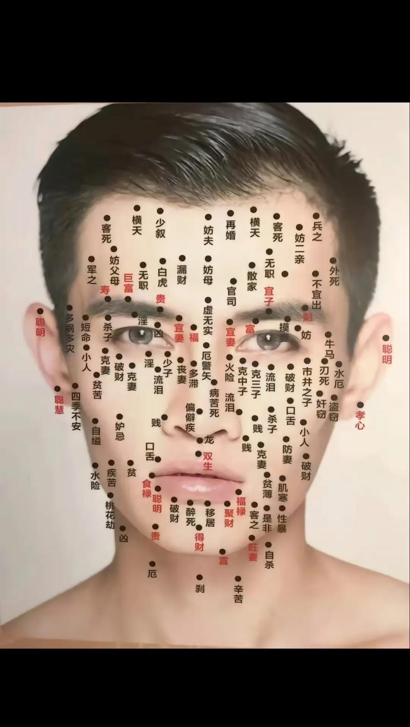 全身痣圖譜