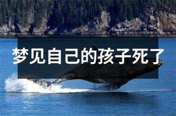 夢(mèng)見(jiàn)自己小孩死了