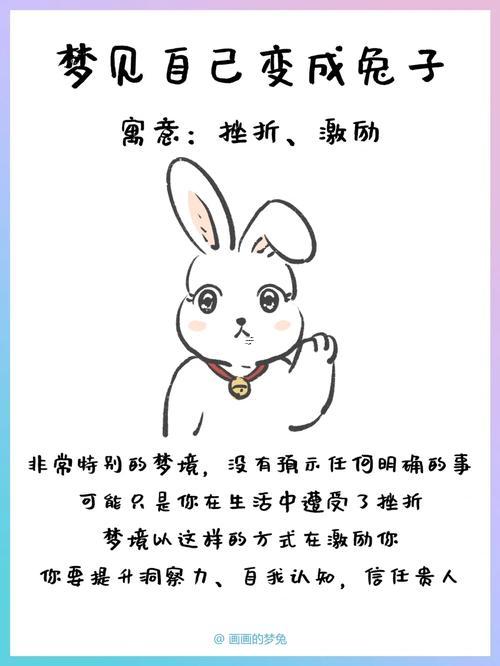 夢(mèng)見(jiàn)好多兔子