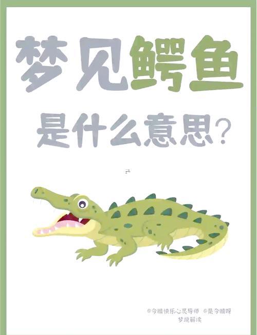 夢見被鱷魚追