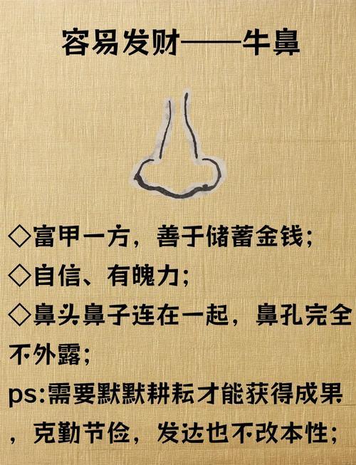 男人鼻子大