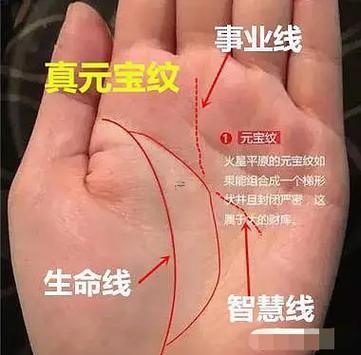 手相元寶紋
