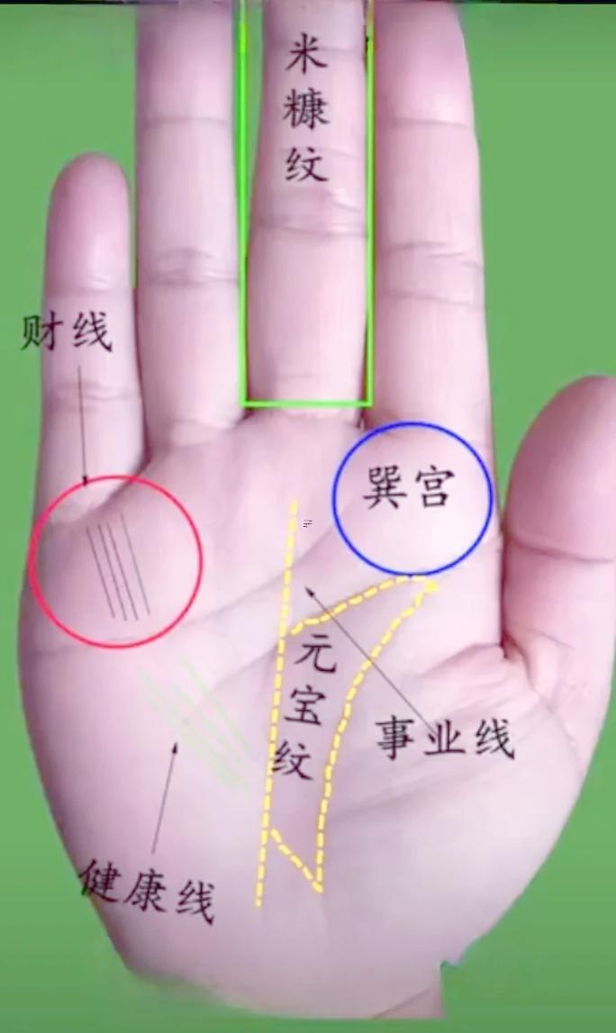 賭運(yùn)好的手相