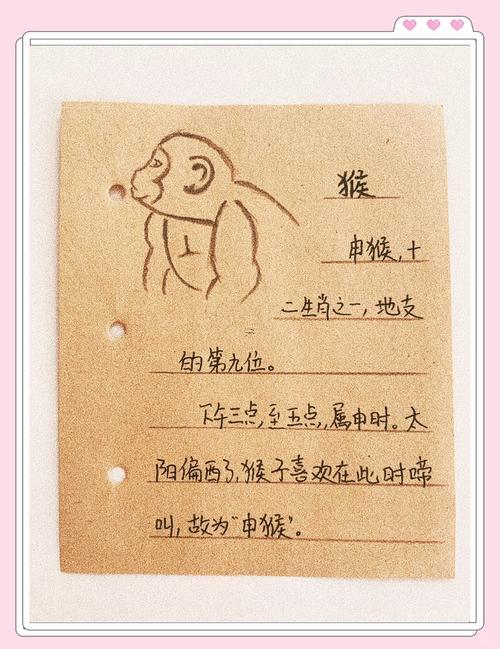 申時五行屬什么東西