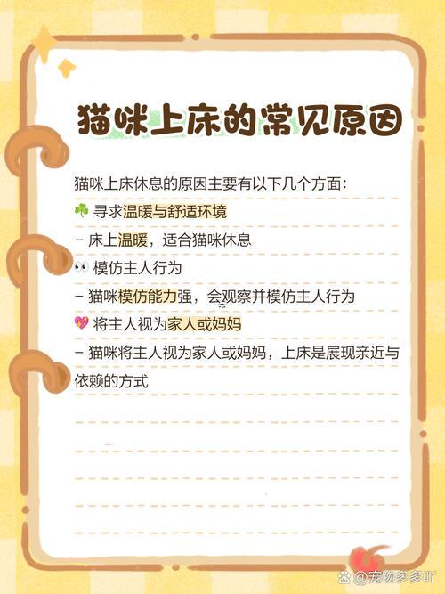 夢(mèng)見貓啥意思