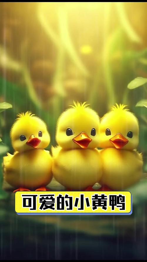 夢(mèng)見小鴨子