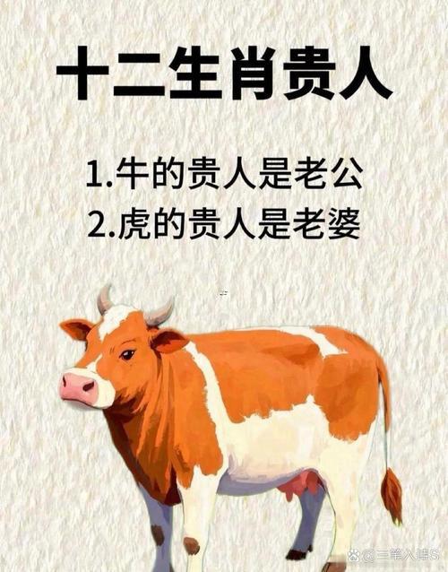 男豬女牛