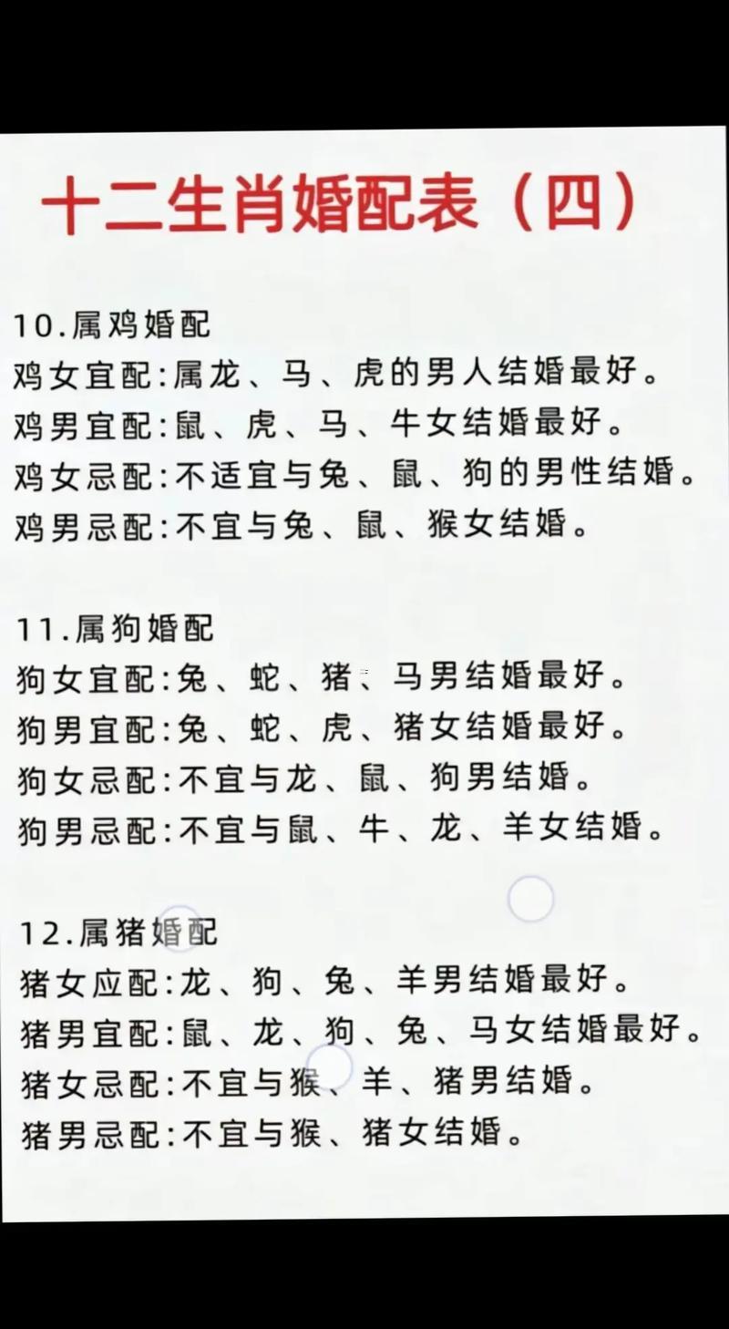 十二屬相表