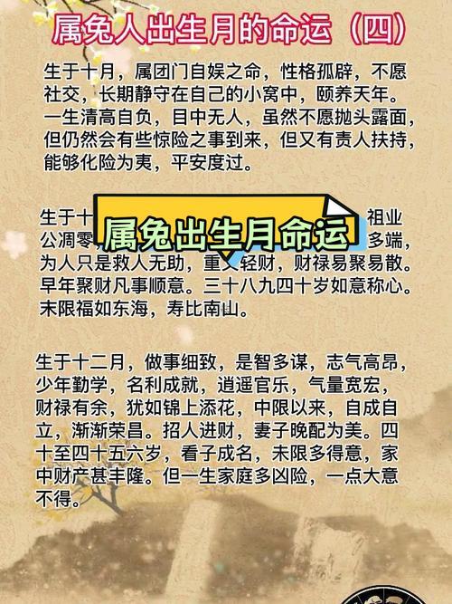 屬兔幾月出生最好命運(yùn)