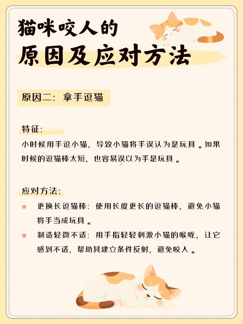 夢(mèng)見(jiàn)貓咬我