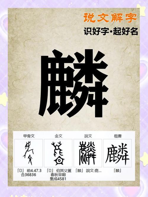 麟五行屬性是何事