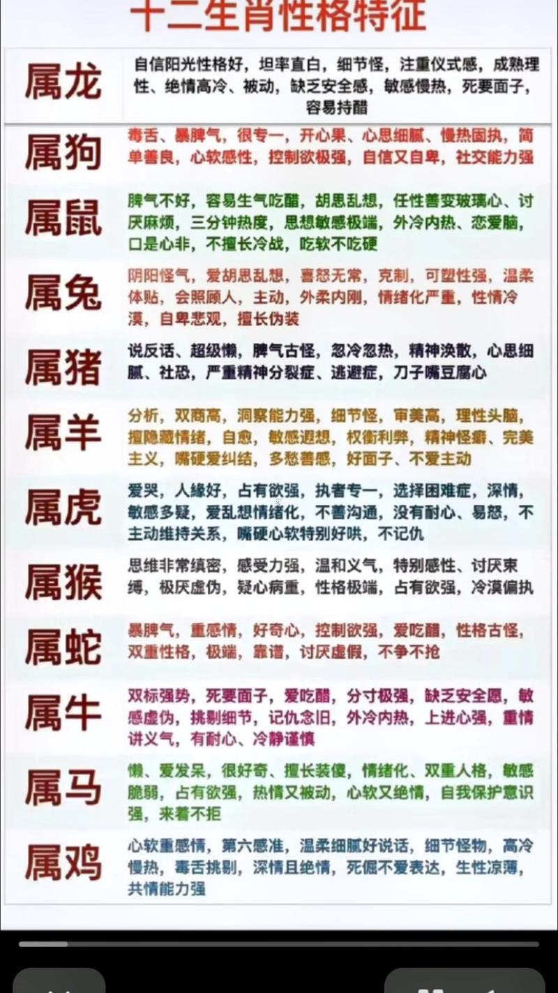 2016年什么命