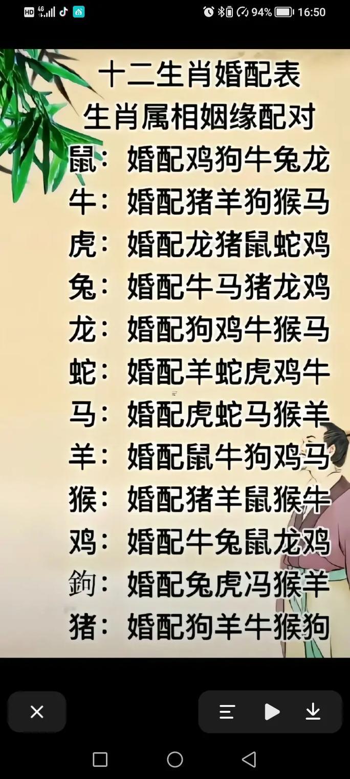 女龍男羊的婚配好嗎