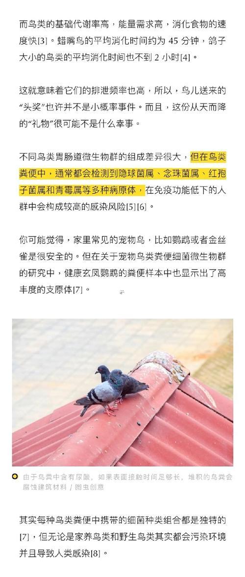 鳥(niǎo)屎掉頭上嗯有何事預(yù)兆