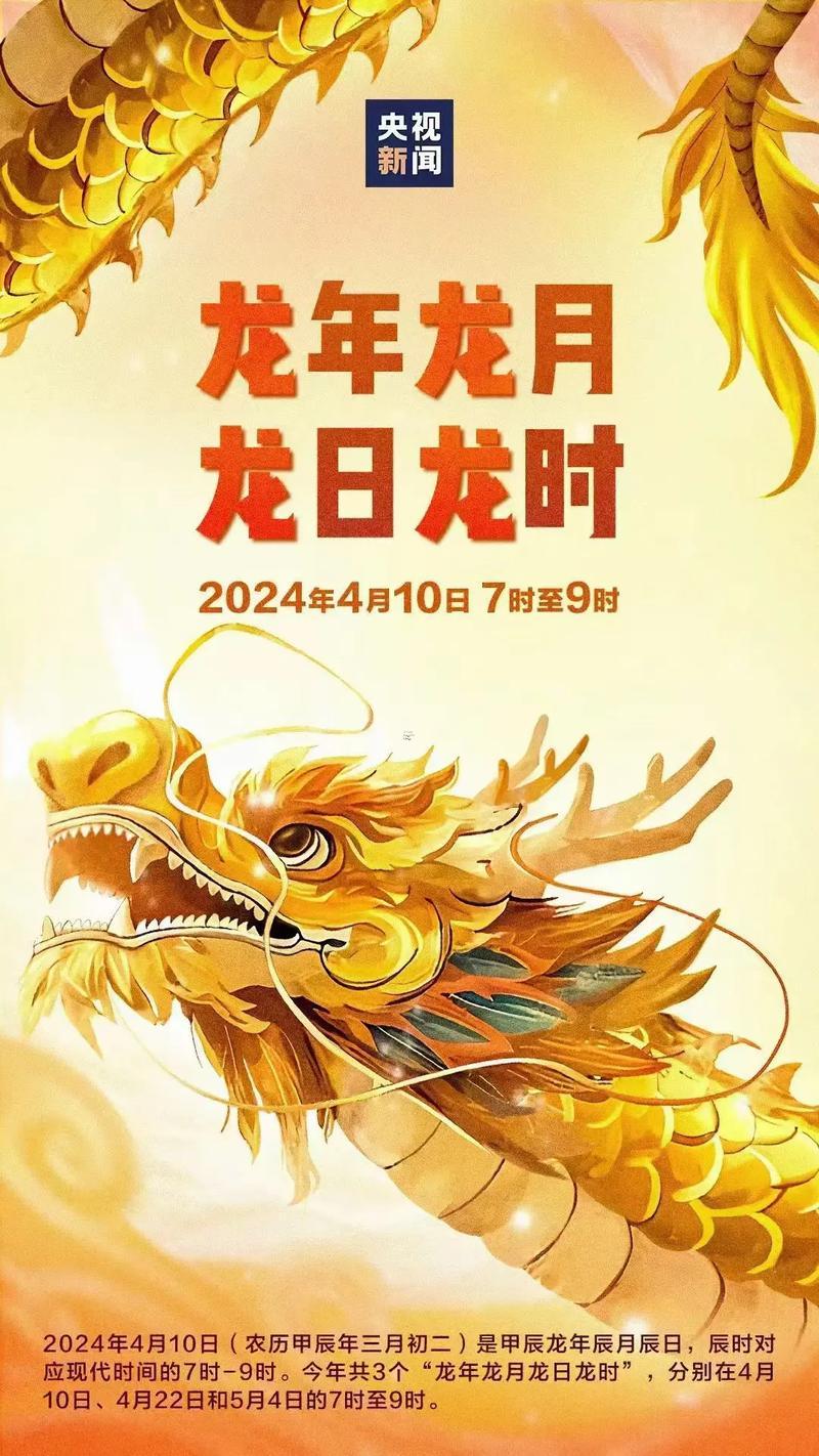 1988是何事龍
