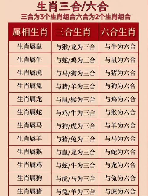屬雞同屬馬的合不合