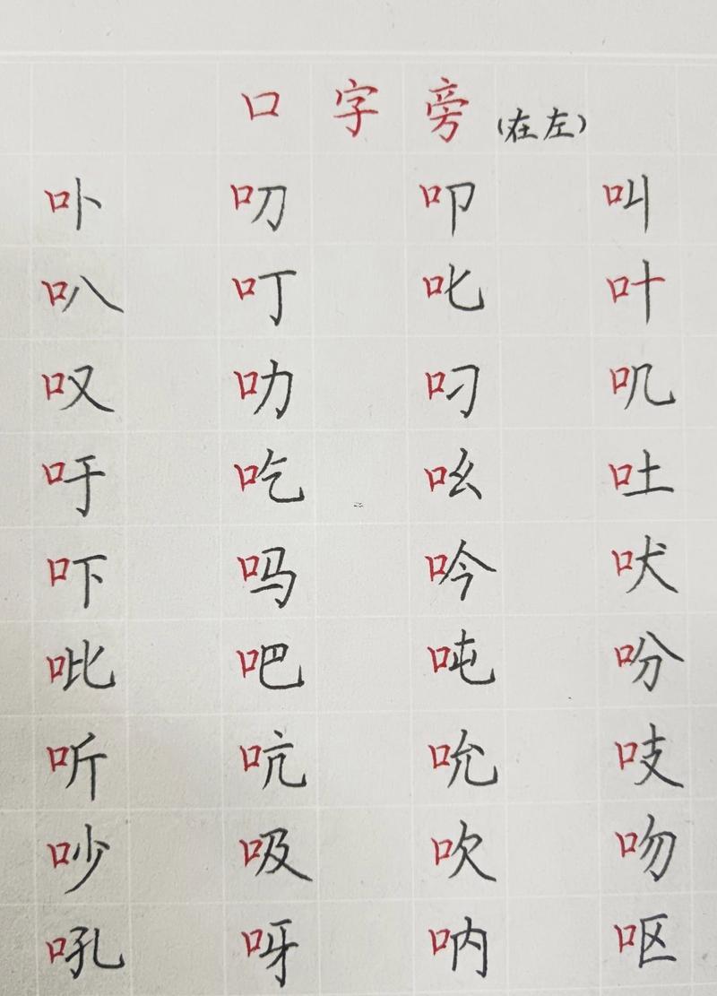 什么東西是口