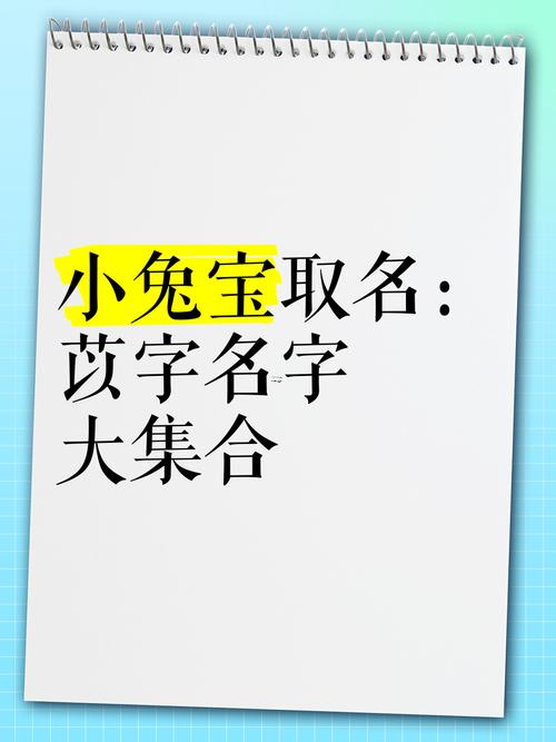 苡字取名