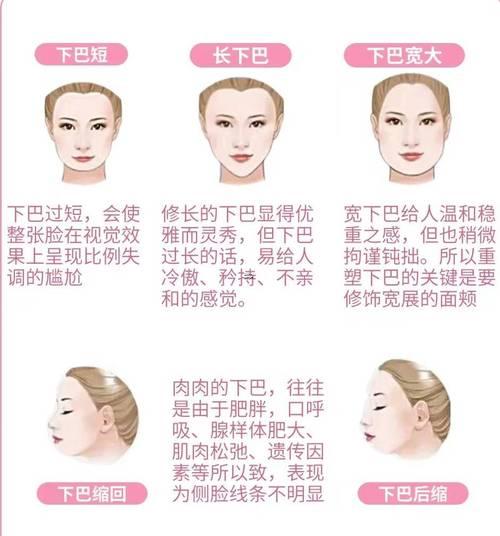 頷是啥部位