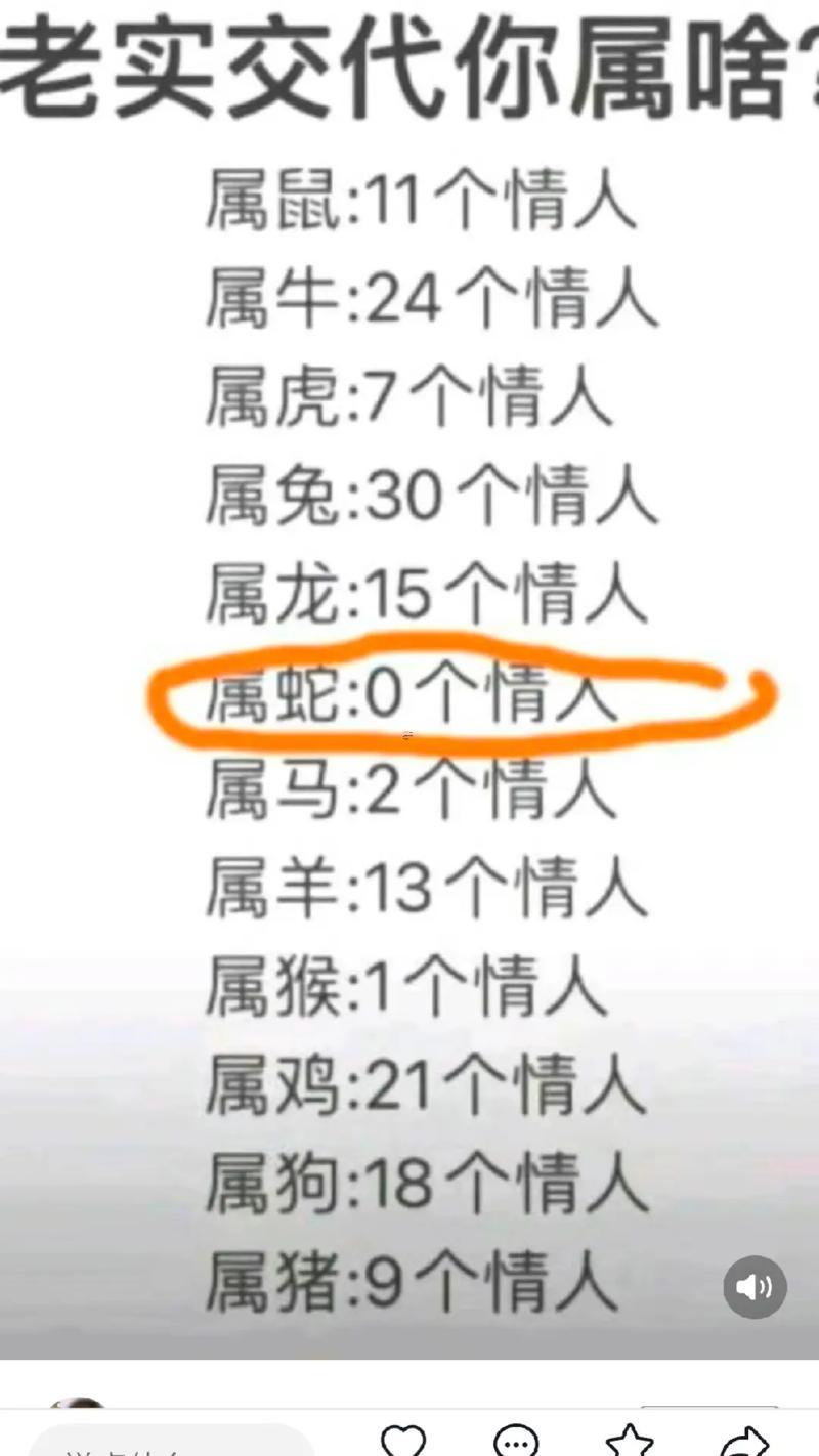 屬兔什么命