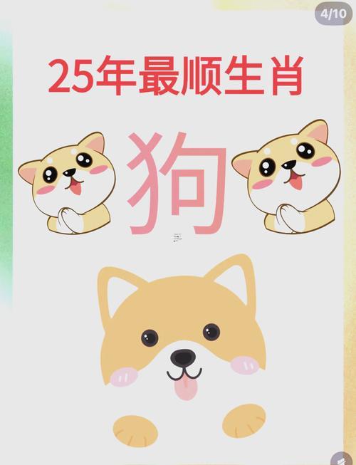 2025年屬狗的運(yùn)勢(shì)怎么辦