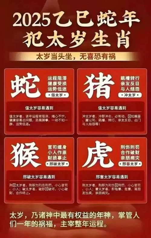 肖豬運勢