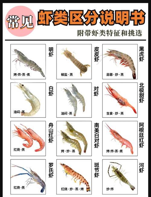 蝦是什么動(dòng)物