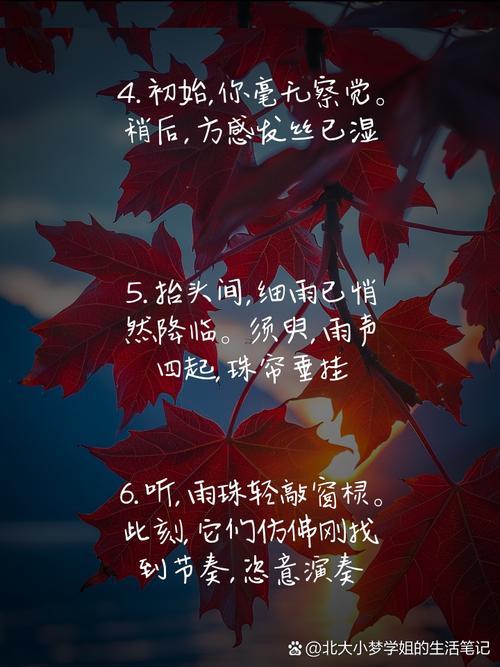 什么里啥云