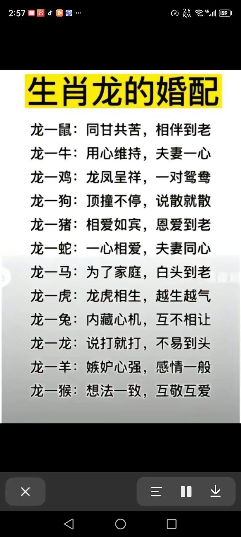 屬兔男同屬龍女相配嗎
